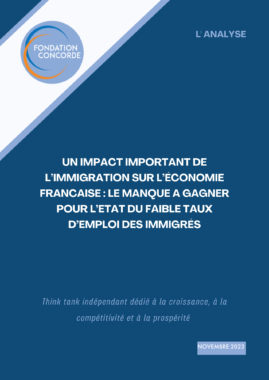 [Analyse] Un impact important de l’immigration sur l’économie française : le manque à gagner pour l’état du faible taux d’emploi des immigrés